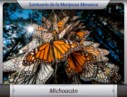 Fletes de la Ciudad de México a Michoacán